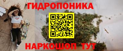 сатива Абинск