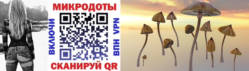 гидра вход купить сайты Алексеевка Псилоцибиновые грибы Magic Shrooms