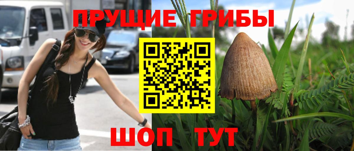 Галлюциногенные грибы прущие грибы Алексеевка